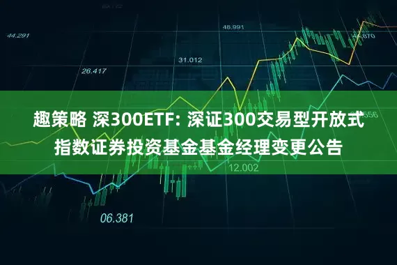 趣策略 深300ETF: 深证300交易型开放式指数证券投资基金基金经理变更公告