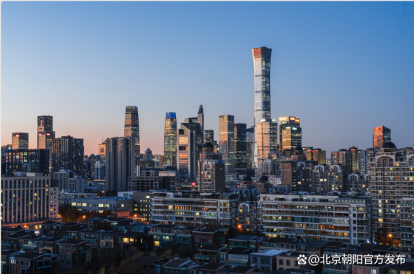 红启网 全国首个！北京朝阳职业能力国际标准发展中心成立