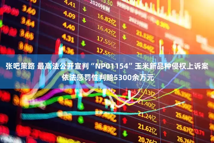 张吧策路 最高法公开宣判“NP01154”玉米新品种侵权上诉案 依法惩罚性判赔5300余万元