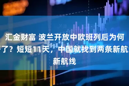 汇金财富 波兰开放中欧班列后为何懵了？短短11天，中国就找到两条新航线